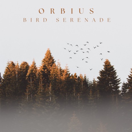 Bird Serenade | Boomplay Music