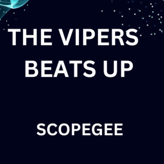 The Vipers Beats Up