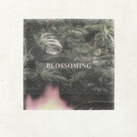 Blossoming ft. Drips Zacheer | Boomplay Music