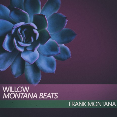 Willow (Montana Beats) | Boomplay Music