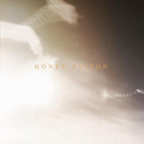 HONEY POISON | Boomplay Music