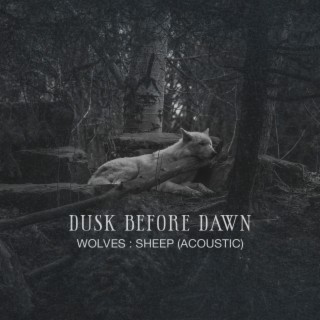 Wolves : Sheep (Acoustic)