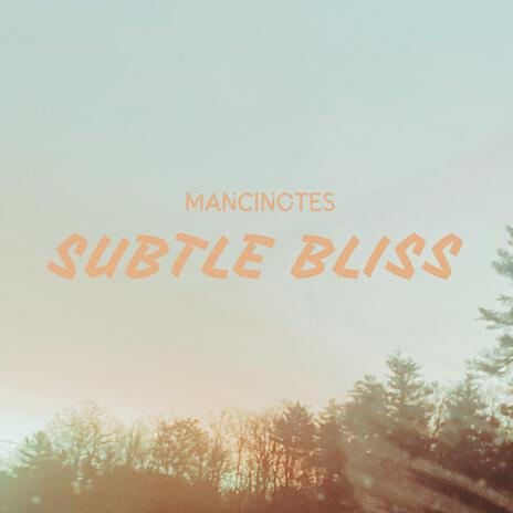 Subtle Bliss | Boomplay Music