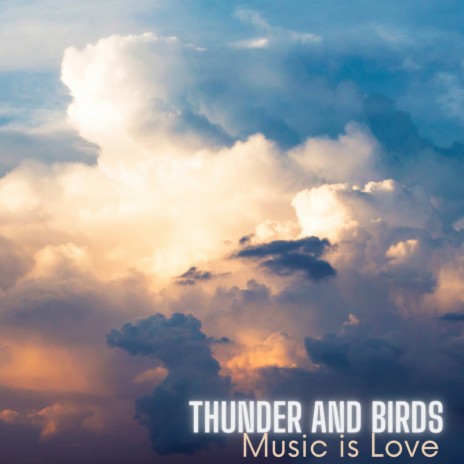 Thunder and Birds | Boomplay Music