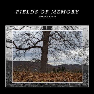 Fields Of Memory