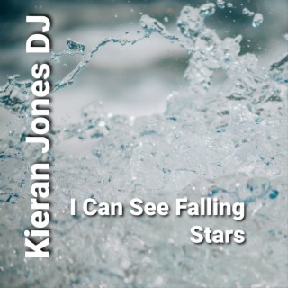 I Can See Falling Stars
