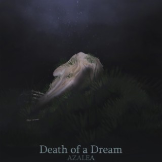 Death of a Dream