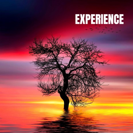 Experience (Violin and Piano)