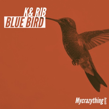 Blue Bird | Boomplay Music