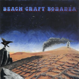 Beach Craft Bonanza