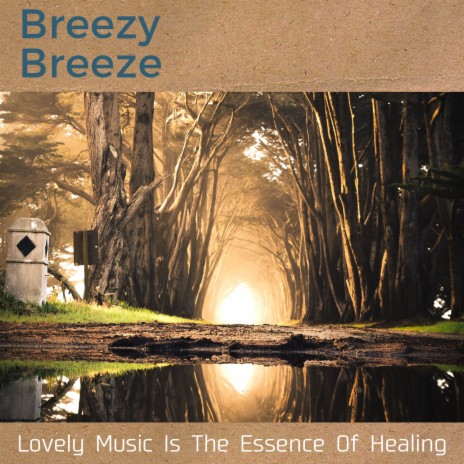 The Healing Path | Boomplay Music