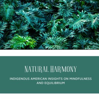 Natural Harmony: Indigenous American Insights on Mindfulness and Equilibrium