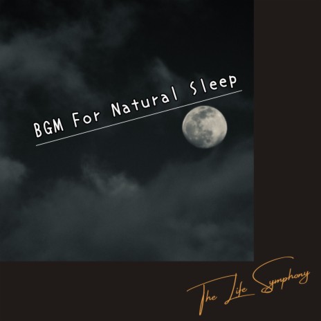 The Night is Sleeping | Boomplay Music