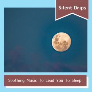 Soothing Music To Lead You To Sleep