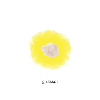 girassol