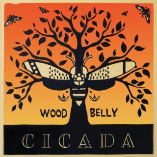 Cicada