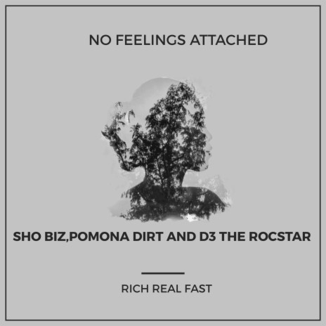 No feelings attached | Boomplay Music