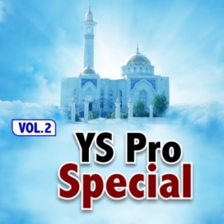 ﻿Ys Pro Special, Vol. 2