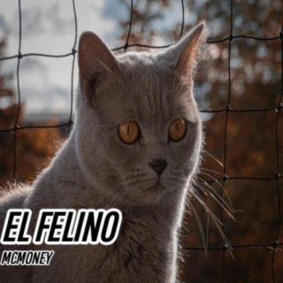 El Felino