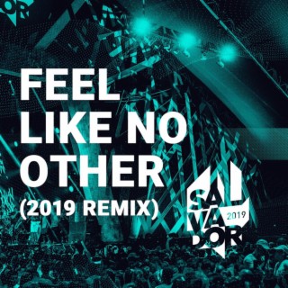 Feel Like No Other (Remix)