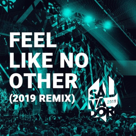 Feel Like No Other (Remix) ft. Pridepark