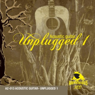 Unplugged, Vol. 1: Acoustic Guitar