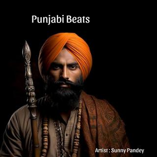 Punjabi Beats