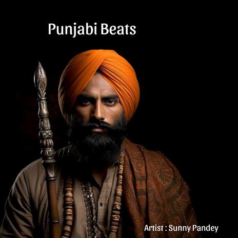 Punjabi Beats | Boomplay Music