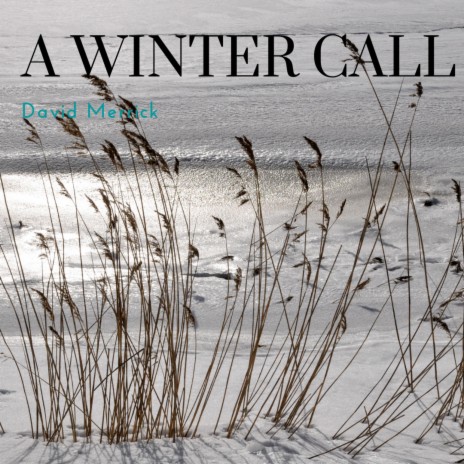 A Winter Call | Boomplay Music