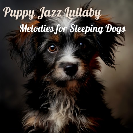 Zzz's ft. Relaxing Music for Dogs & Music for Dogs Peace