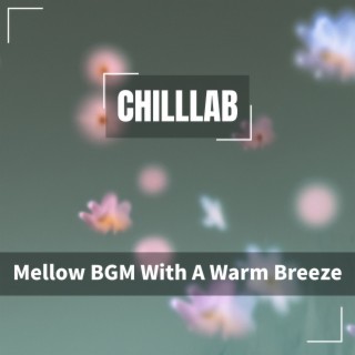 Mellow BGM With A Warm Breeze