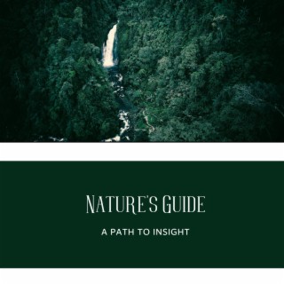 Nature's Guide: A Path to Insight