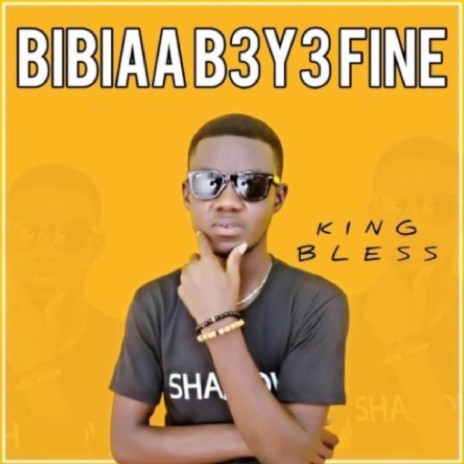 Bibiaa B3y3 Fine | Boomplay Music