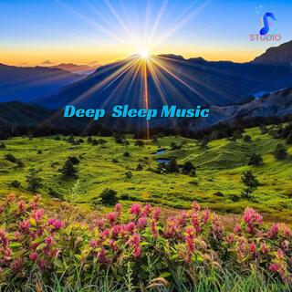 Deep Sleep Music & Meditatioon Music