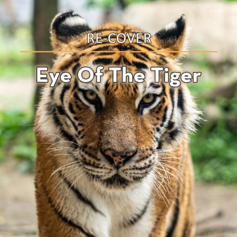 Eye Of The Tiger (Unplugged) | Boomplay Music