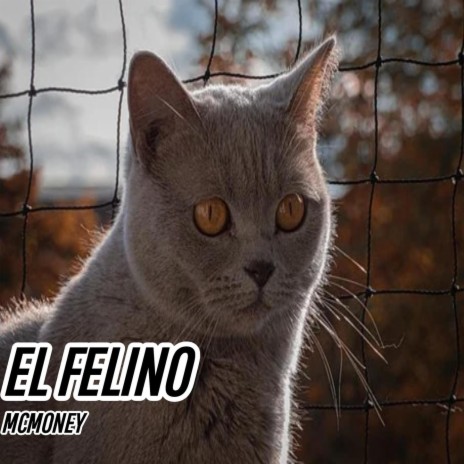 El Felino | Boomplay Music