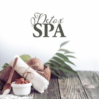 Detox SPA: Music for Spa & Wellness, Beauty Treatments, Facial Rituals