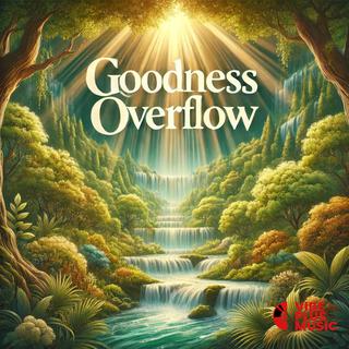 Goodness Overflow