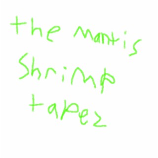 The Mantis Shrimp Tapez