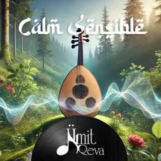 Calm Sensible (Instrumental)