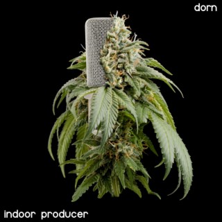 Indoor Producer