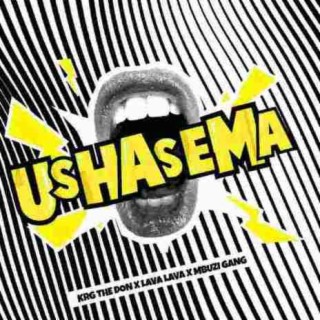 Ushasema ft. Lava Lava & Mbuzi Gang lyrics | Boomplay Music