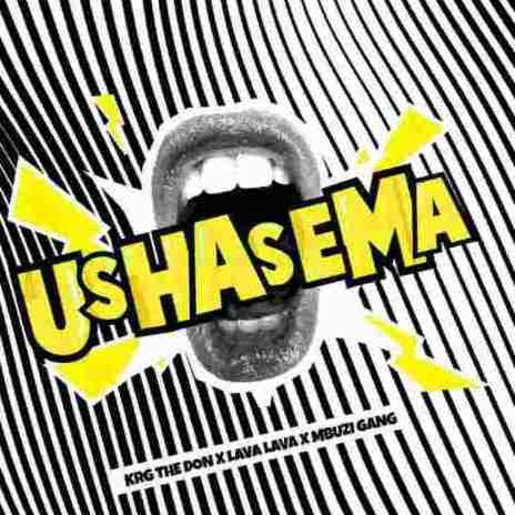 Ushasema ft. Lava Lava & Mbuzi Gang | Boomplay Music
