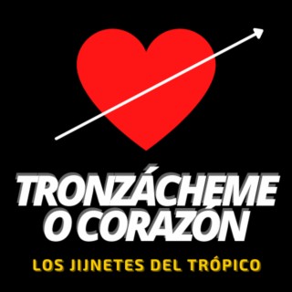 Los Jinetes del Trópico