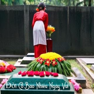 Đời Có Bao Nhiêu Ngày Vui