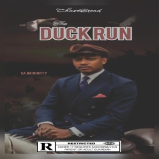 The Duck Run