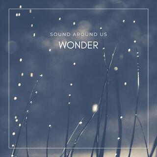 Wonder