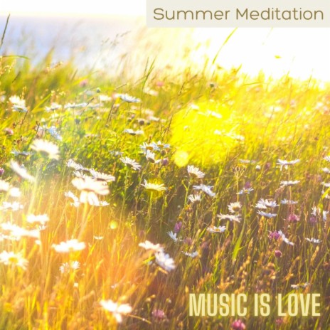 Summer Meditation | Boomplay Music