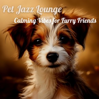 Pet Jazz Lounge: Calming Vibes for Furry Friends