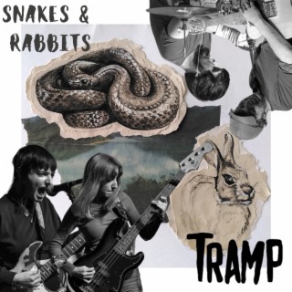 Snakes & Rabbits lyrics | Boomplay Music